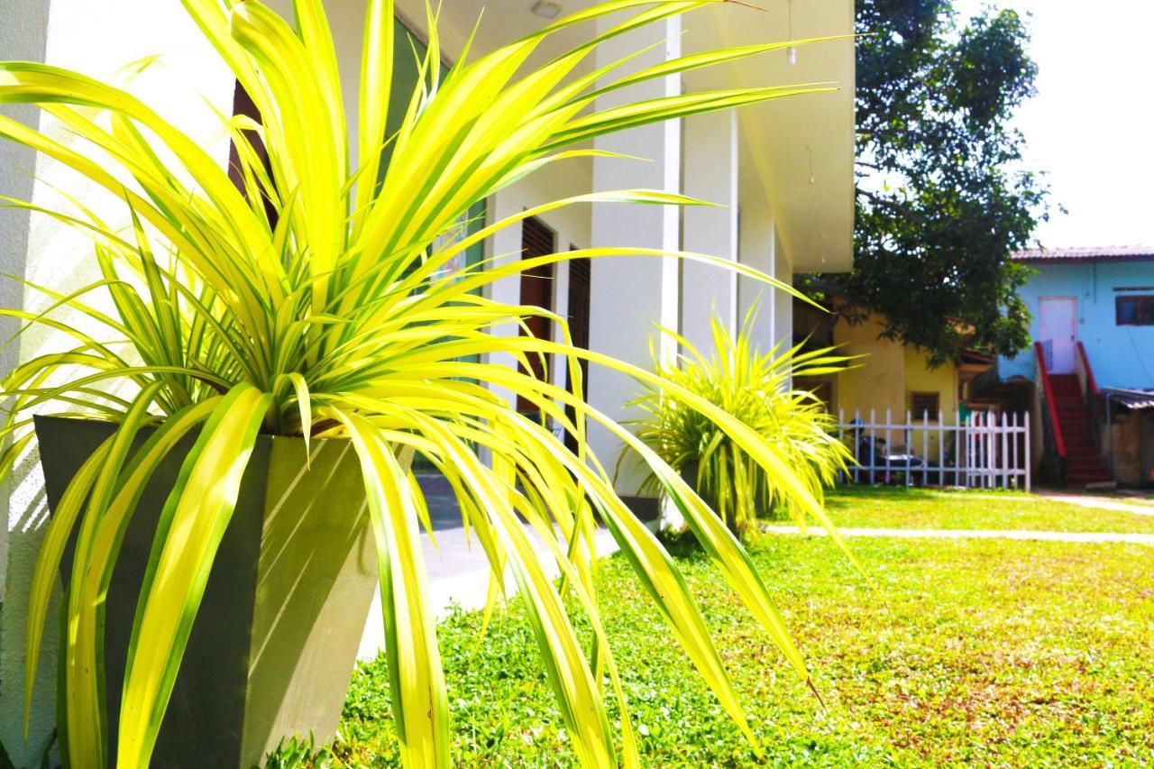 A&B Resort Negombo Kudapaduwa Exteriér fotografie